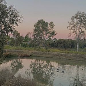 Meet your Posher, Shirley